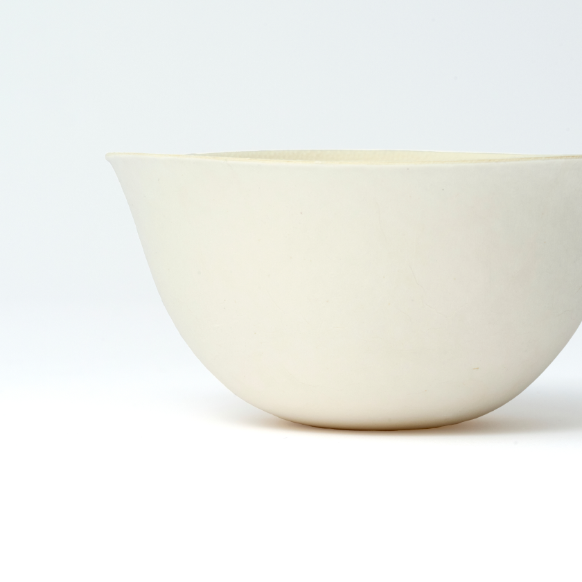 WASARA Bowl