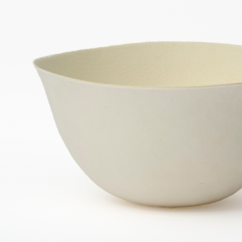 WASARA Bowl